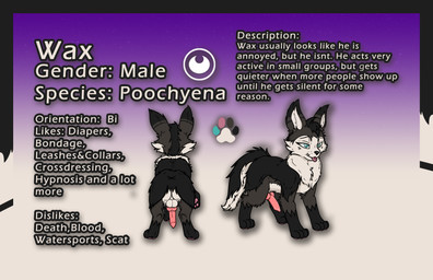 feral genitals male rear_view solo text tongue tongue_out keiikaii nintendo pokemon generation_3_pokemon pokemon_(species) poochyena absurd_res english_text hi_res model_sheet