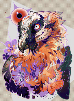 abstract_background ambiguous_gender anthro beak black_body feathers flower plant red_body red_feathers smile solo text white_body white_feathers athanaca accipitrid accipitriform avian bearded_vulture bird old_world_vulture vulture artist_name bust_portrait hi_res portrait restricted_palette