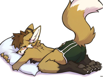 4_toes anthro barefoot blush bulge butt claws clothed clothing dipstick_tail feet fur hair hug hugging_object hugging_pillow leg_markings looking_at_viewer looking_back looking_back_at_viewer male male_anthro markings pawpads paws pillow simple_background socks_(marking) solo tail tail_markings toe_claws toes topless topless_anthro topless_male white_background ddgio canid canine fox mammal 2025 4:3 digital_media_(artwork) hi_res
