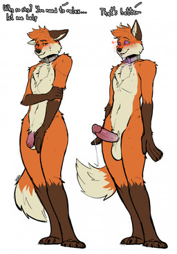 anthro balls bashful blep blush bodily_fluids brown_body collar collar_only control_collar dripping drooling embarrassed erection femboy flaccid flustered foreskin fur genital_fluids genitals glans humanoid_genitalia humanoid_penis hypnosis male male_anthro mind_control multicolored_body multicolored_fur nude nude_anthro nude_male orange_body penis precum precum_drip ringed_eyes saliva shy simple_background slim_anthro slim_male solo standing submissive submissive_male tail tan_body text tongue tongue_out white_background freakdan1el canid canine fox mammal english_text hi_res