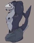 anthro armpit_hair blush body_hair bulge erection male solo mr_sharky fish marine shark hi_res