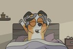 ambiguous_gender anthro bed detailed_background furniture happy solo waking_up zankandreas bluey_(series) calypso_(bluey) canid canine canis domestic_dog mammal pastoral_dog hi_res female_(lore)