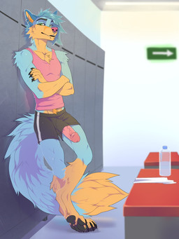 anthro barefoot bench beverage biped black_bottomwear black_claws black_clothing black_eyebrows black_lips black_pawpads black_shorts blue_body blue_fur blue_hair blue_tail bottle bottomwear chest_tuft circumcised claws clothed clothing container crossed_arms digitigrade dipstick_tail ear_piercing erection eyebrows facial_piercing feet fur genitals glans gloves_(marking) green_eyes hair humanoid_genitalia humanoid_penis inside leaning leg_markings lip_piercing lips locker locker_room looking_at_viewer male markings multicolored_body multicolored_fur multicolored_tail nose_piercing nose_ring pawpads paws penis penis_poking_out penis_through_leghole piercing pink_clothing pink_glans pink_nose pink_penis pink_shirt pink_topwear ring_piercing shirt shorts socks_(marking) solo tail tail_markings tan_body tan_fur tan_tail tank_top toe_claws topwear tuft two_tone_body two_tone_fur two_tone_tail vein water_bottle drmax teslawolfen canid canine canis fox hybrid mammal wolf 3:4 hi_res