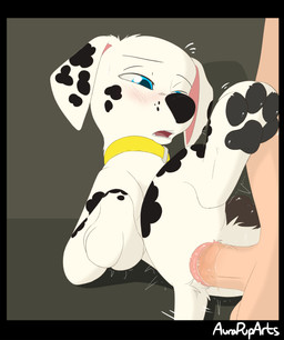 anal anal_penetration animal_genitalia anus balls bestiality blush bodily_fluids butt collar duo erection feral fur genital_fluids genitals hair human_on_feral humanoid_genitalia humanoid_penis interspecies male male/male male_penetrated male_penetrating male_penetrating_male markings open_mouth pawpads paws penetration penile penile_penetration penis penis_in_ass sex simple_background spots spotted_body tail tongue white_body white_fur young young_male aurapuparts paw_patrol marshall_(paw_patrol) canid canine canis dalmatian domestic_dog human mammal absurd_res digital_media_(artwork) hi_res