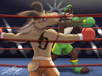 anthro bottomwear boxing clothing duo gloves handwear male punch shorts sport tattoo wounded sagadreams bovid canid canine canis caprine goat mammal wolf 4:3 hi_res