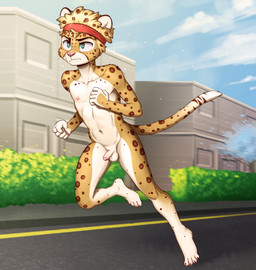 4_toes 5_fingers accessory anthro athletic athletic_male balls bodily_fluids casual_nudity collarbone countershading exercise exhibitionism eyebrows feet fingers fist flaccid foreskin fur genitals glans hair headband headband_only humanoid_genitalia humanoid_penis male markings multicolored_body multicolored_fur muscular muscular_young nipples nude nude_workout outside partially_retracted_foreskin penis pink_glans pink_nipples pink_nose public public_nudity red_headband running solo spots spotted_body spotted_fur spotted_hair spotted_markings spotted_tail streaking striped_body striped_fur striped_markings striped_tail stripes sweat tail tail_markings toes young young_anthro young_male eldiman cheetah felid feline mammal absurd_res digital_media_(artwork) hi_res