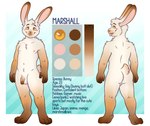 anthro balls biped buckteeth butt color_swatch eyebrows fingers flaccid foreskin fur genitals humanoid_genitalia humanoid_penis male penis scut_tail short_tail solo tail teeth text tongue tongue_out mytigertail marshall_(naaaaabe) lagomorph leporid mammal rabbit english_text hi_res model_sheet