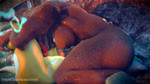 69_position animal_genitalia animal_penis anthro breasts brown_body canine_genitalia canine_penis claws cunnilingus dominant dominant_female duo erection facesitting fellatio female genitals green_body green_scales lying male male/female nude on_back oral oral_only penile penis scales sex side_view sitting_on_another vaginal twitchyanimation tremors universal_studios vergence dinosaur graboid prehistoric_species reptile scalie theropod 16:9 2018 3d_(artwork) 3d_animation animated digital_media_(artwork) hi_res high_framerate loop no_sound short_playtime webm widescreen