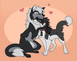 black_body black_claws black_mane blue_eyes blush chest_tuft claws collar dipstick_tail duo female feral gradient_background hair heart_symbol hug looking_at_another male male/female mane mane_hair markings multicolored_body neck_tuft side_view simple_background tail tail_markings tuft two_tone_body usb_necklace white_claws white_mane kluforever chelsea_chamberlain nightdancer_(character) canid canine canis domestic_dog karelian_bear_dog mammal spitz wolf 2023 hi_res