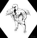 abs anthro avian_feet beak black_border border bottomwear clothing denim denim_bottomwear denim_clothing jeans male muscular pants scar view_from_above wings xcoreus avian bird corvid corvus_(genus) crow oscine passerine absurd_res comic hi_res monochrome