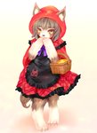 alternative_fashion amber_eyes anthro apron bodily_fluids clothing country_lolita dress female j-fashion lolita_(fashion) looking_at_viewer red_clothing red_dress simple_background solo standing tears tetetor-oort fairy_tales little_red_riding_hood_(copyright) little_red_riding_hood canid mammal 2013 translated_description