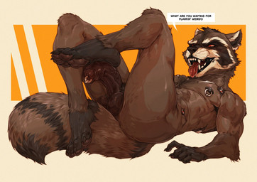 abs anthro balls fur genital_piercing genitals male nipple_piercing nipples nude open_mouth pawpads paws pecs penis penis_piercing piercing red_eyes sharp_teeth solo tail teeth tongue vein veiny_muscles mikaemikae guardians_of_the_galaxy marvel rocket_raccoon mammal procyonid raccoon hi_res