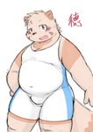 anthro belly blush brown_body bulge cute_fangs fangs kemono male overweight overweight_male simple_background solo teeth wrestling_singlet bear_2key canid canine mammal raccoon_dog tanuki 2023 absurd_res hi_res