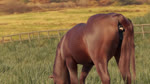 16:9 3d_(artwork) 3d_animation anal anal_penetration anal_vore animal_genitalia animal_pussy animated anus digital_media_(artwork) dominant dominant_feral duo equid equine equine_anus equine_genitalia equine_pussy female female_pred feral forced genitals horse huge_filesize human human_prey long_playtime male male/female mammal penetration puffy_anus pussy size_difference sound struggling struggling_prey tail tail_anus unwilling_prey volanare1 vore webm widescreen