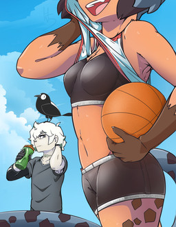 alternate_form anthro anthro_focus aroused asian_clothing ball basketball_(ball) bottle bottomwear bra breasts buruma butt claws cleavage clothed clothing clothing_lift container day duo_focus east_asian_clothing female feral fur gloves group hair handwear holding_basketball holding_bottle holding_container holding_object japanese_clothing jersey jersey_lift looking_at_another male male/female markings medium_breasts midriff navel neck_scar open_mouth open_smile orange_body orange_fur outside pale_skin shirt shirt_lift sky smile sports_bra sportswear spots spotted_body spotted_markings spotted_tail standing tail tail_markings text text_on_clothing text_on_underwear topwear trio underwear white_hair wiping high5art brand_new_animal studio_trigger kuro_(brand_new_animal) michiru_kagemori shirou_ogami avian bird canid canine cheetah corvid corvus_(genus) crow felid feline human hybrid mammal oscine passerine raccoon_dog tanuki 2023 absurd_res english_text hi_res signature