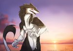 anthro black_body black_fur brown_body brown_fur fur male multicolored_body multicolored_fur nude orange_eyes solo sunset tail white_body white_fur rotarr balthazar_(thorphax) sergal 2014 digital_media_(artwork)