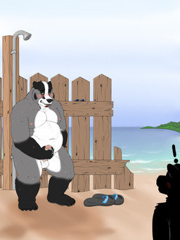 anthro beach blush bodily_fluids caught_in_the_act caught_masturbating clothing countershade_crotch countershade_torso countershading cum cum_on_hand cum_on_self duo ejaculation erection eyewear facial_hair fence flip_flops footwear genital_fluids genitals goatee humanoid_genitalia humanoid_penis male masturbation nipple_piercing nipples open_mouth outside overweight overweight_anthro overweight_male penis piercing public_masturbation sandals shoes shower silhouette solo_focus standing sunglasses kronexfire badger mammal mustelid musteline 2015 hi_res