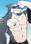 anthro barazoku beach big_muscles biped black_sclera chest_scar jewelry male muscular muscular_anthro muscular_male necklace nose_scar scar shirtless_anthro shirtless_male smile smiling_at_viewer solo emoji_owo fish marine shark absurd_res hi_res