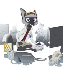anthro bag belt biped bone clothed clothing coat coffee_mug computer dipstick_tail electronics eyewear eyewear_on_head gas_mask goggles goggles_on_head holding_object holding_pen holding_writing_utensil lab_coat laptop male markings mask monitor multicolored_tail name_tag paper pen purple_eyes simple_background sitting skull smile solo tail tail_markings text topwear white_background writing_utensil yitexity disney zootopia fan_character leon_(lgarniger) canid canine fox mammal 2017 english_text hi_res