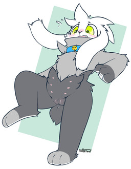 after_transformation andromorph anthro bell bell_collar blush blush_lines bodily_fluids body_blush collar fangs fur genital_fluids genitals green_eyes grey_body grey_fur intersex simple_background solo teeth vaginal_fluids vulva vulva_blush nulloffset nintendo pokemon generation_8_pokemon lagomorph mammal pokemon_(species) raboot hi_res