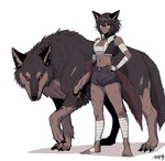 ambiguous_gender animal_ears bandage bandaged_arm bandaged_foot bandaged_leg bottomwear breasts brown_body brown_fur brown_hair chest_sarashi chest_wraps claws clothing collar dark_body dark_skin duo female feral fur hair hair_between_eyes looking_at_viewer navel oversized_animal red_eyes scar short_hair shorts simple_background small_breasts standing tail white_background wolf_ears wolf_tail wraps gegegekman mythology canid canine canis humanoid mammal mythological_canine mythological_creature were werecanid werecanine werewolf wolf absurd_res full-length_portrait hi_res portrait watermark