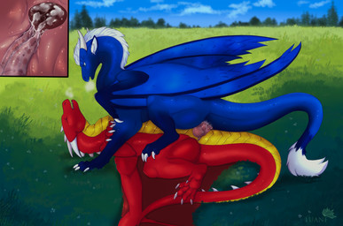 2_penises animal_genitalia animal_penis belly blue_body blue_eyes blue_scales bodily_fluids breath cervical_contact claws cloacal_penis cum cum_inside day dewclaw digitigrade diphallism duo earhole erection female female_on_top feral feral_on_feral finger_claws from_front_position fur genital_fluids genitals grass hemipenes horn inner_ear_fluff internal internal_vaginal knot knotted_penis knotted_tapering_penis lying male male/female male_on_bottom membrane_(anatomy) membranous_wings missionary_position multi_genitalia multi_penis on_back on_bottom on_top penetration penis pink_penis plant red_body red_scales red_wings scales scutes sex sky tail tail_fluff tailbutt tapering_penis tapering_tail thick_tail toe_claws tree tuft vaginal vaginal_penetration white_body white_claws white_fur white_horn wide_crotch wings yellow_belly irosan european_mythology mythology zetralth dragon mythological_creature mythological_scalie scalie western_dragon absurd_res digital_media_(artwork) hi_res watermark