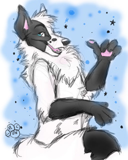 anthro biped black_body black_fur black_nose blue_eyes fluffy fluffy_chest fur head_tuft looking_at_viewer male nude pawpads pink_inner_ear pink_pawpads pink_tongue smile_lines snout solo star tail tasteful_nudity three-quarter_view tongue tuft white_body white_fur blondefoxy sitku arctic_fox canid canine fox mammal true_fox 2008 colored_sketch digital_drawing_(artwork) digital_media_(artwork) half-length_portrait portrait sketch