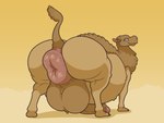 anus anus_focus balls belly big_anus big_balls big_belly big_butt big_penis blue_eyes brown_balls brown_body brown_fur butt butt_focus cloven_hooves darkened_balls darkened_genitalia darkened_penis ear_piercing ear_ring feral foreskin fur genitals gradient_background half-closed_eyes hooves huge_anus huge_balls huge_belly huge_butt huge_penis humanoid_genitalia humanoid_penis hyper hyper_anus hyper_balls hyper_genitalia hyper_penis looking_at_viewer looking_back looking_back_at_viewer male narrowed_eyes obese obese_feral obese_male overweight overweight_feral overweight_male partially_retracted_foreskin penis piercing pink_anus quadruped raised_tail rear_view ring_piercing simple_background smile solo standing tail tail_tuft tan_body tan_fur thick_thighs thin_tail three-quarter_view toony tuft unguligrade yellow_background yowesephth izmet_(moxiezard) camel camelid mammal 2021 cel_shading hi_res shaded