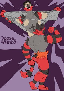 after_transformation anthro clothing fur hair male mid_transformation muscular muscular_anthro muscular_arms muscular_male solo species_transformation topwear torn_clothing torn_topwear transformation transformation_sequence kiri-anko nintendo pokemon generation_7_pokemon incineroar pokemon_(species) absurd_res hi_res