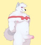 anthro balls blush erection foreskin genitals hands_behind_back humanoid_genitalia humanoid_penis looking_at_viewer male navel nipples pecs penis red_eyes ribbons simple_background solo zetameow canid canine canis domestic_dog mammal hi_res