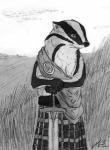 anthro biped bottomwear brooch clothing field kilt looking_aside male melee_weapon pattern_clothing plaid plaid_clothing plains resting scottish solo standing sword tartan_bottomwear weapon holt5 redwall badger mammal mustelid musteline hi_res monochrome