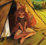 anthro arm_tattoo bottomless bridge_piercing brown_eyes brown_hair camping camping_tent cheek_piercing clothed clothing countershade_legs countershade_thighs countershade_torso countershading crossed_legs ear_piercing ear_ring facial_piercing female female_anthro fur hair hip_tattoo inner_ear_fluff leg_tattoo long_hair looking_at_viewer nose_piercing on_ground one_ear_up outside partially_clothed piercing pillow plant ring_piercing shirt shrub sitting sitting_on_ground smile solo tan_body tan_fur tattoo teeth thigh_tattoo topwear topwear_only tree tuft tinygaypirate apogee_(tinygaypirate) canid canine canis domestic_dog mammal spitz 2024 absurd_res hi_res