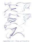 animal_genitalia crotch_sniffing duo feral fur genitals licking male sheath sheath_play simple_background smile sniffing teeth text tongue tongue_in_sheath tongue_out paper-wings canid canine mammal blue_and_white hi_res monochrome sketch