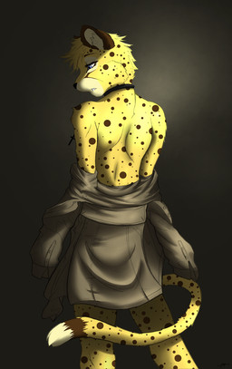 anthro black_nose blonde_hair blue_eyes brown_body brown_fur brown_markings brown_spots brown_tail clothed clothing coat cross facial_markings fur grey_background grey_clothing grey_topwear hair head_markings jewelry male markings multicolored_body multicolored_fur multicolored_tail partially_clothed pendant rear_view short_hair simple_background solo spots spotted_body spotted_fur spotted_markings spotted_tail standing tail tail_markings topwear undressing white_body white_fur white_tail yellow_body yellow_fur yellow_tail mirapony salem_(stripes) cheetah felid feline mammal 2012 digital_media_(artwork) hi_res portrait signature three-quarter_portrait