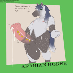 animal_genitalia animal_penis anthro areola balls big_balls big_butt big_penis bodily_fluids brown_balls brown_body brown_fur brown_penis butt equine_genitalia equine_penis frenum_ladder frenum_piercing fur genital_fluids genital_piercing genitals green_eyes grey_hair hair huge_balls huge_penis hyper hyper_balls hyper_genitalia hyper_penis ladder_piercing leaking_precum male motion_lines multicolored_body multicolored_fur multicolored_penis nipples penis penis_piercing piercing pink_penis precum simple_background solo speckles tail text thick_thighs throbbing throbbing_penis two_tone_body two_tone_fur two_tone_penis white_body white_fur seriftarkus arabian_horse equid equine horse mammal 1:1 english_text hi_res url