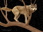 ambiguous_gender feral photorealism plant solo star tail tree wood ebon_lupus watcher canid canine canis mammal wolf 4:3 wallpaper