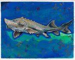 ambiguous_gender barbel_(anatomy) feral fin flesh_whiskers grey_body solo sparkles spines underwater water zinyli acipenseriformes fish marine sturgeon gouache_(artwork) hi_res painting_(artwork) traditional_painting_(artwork)