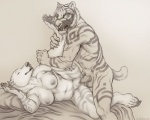 2013 balls bear breasts clitoris erection eye_patch eyes_closed eyewear feline female hindpaw leg_glider_position lying male nipples nude on_side pawpads paws penetration penis plain_background polar_bear pussy raised_leg rukis sex sketch spread_legs spreading straight tattoo tiger vaginal vaginal_penetration white_background
Rating: Explicit
Score: 24
User: tony311
Date: December 09, 2013