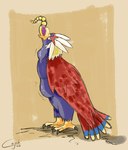 2018 4_toes abdominal_bulge accipitrid accipitriform ambiguous_gender ambiguous_pred ambiguous_prey anisodactyl avian avian_feet beak belly biped bipedal_feral bird blue_body blue_feathers blue_tail border braviary cajade cere_(anatomy) claws colored_sketch dated digital_media_(artwork) digitigrade duo ekans feathered_crest feathered_wings feathers featureless_crotch feet feral feral_pred feral_prey forced generation_1_pokemon generation_5_pokemon grey_body grey_claws grey_eyes grey_feathers guide_lines head_crest head_first hi_res larger_pred looking_at_viewer motion_lines multicolored_body multicolored_feathers multicolored_scales multicolored_tail neck_bulge nintendo open_beak open_mouth oral_vore partially_inside pokemon pokemon_(species) purple_body purple_scales rattle_(anatomy) red_body red_feathers red_tail red_wings reptile scales scalie scutes serpentine shaded shadow side_view signature simple_background size_difference sketch soft_vore solo_focus standing swallowing tail tail_feathers tan_background tan_border toe_claws toes two_tone_body two_tone_scales vore white_body white_feathers wings yellow_beak yellow_body yellow_feathers yellow_scales yellow_tail