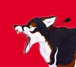 ambiguous_gender arrow_(weapon) black_body black_fur blood blood_string bodily_fluids brown_body brown_fur cheek_tuft facial_tuft fangs feral fur gore green_eyes head_injury inner_ear_fluff neck_tuft open_mouth ranged_weapon red_background red_tongue side_view simple_background solo teeth tongue tuft weapon white_body white_fur white_inner_ear_fluff wounded roobin canid mammal