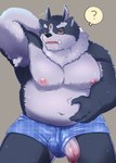 3_eyes anthro armpit_hair belly big_penis bodily_fluids body_hair boxers_(clothing) clothing drooling flaccid fur genitals grey_body grey_fur male multi_eye navel nipples overweight overweight_male penis penis_poking_out penis_through_leghole question_mark saliva solo tusks underwear vein veiny_penis crazy_sll lifewonders tokyo_afterschool_summoners tsathoggua_(tas) hi_res