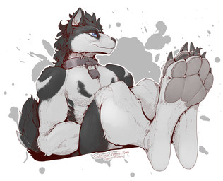 4_toes anthro blue_eyes chain_collar claws collar cuff_(restraint) digitigrade feet foot_fetish foot_focus lean_body legs_up lock looking_away male metal_collar nude padlocked_collar pawpads restraints shackles sitting slave soles solo toes kredri canid canine canis mammal wolf hi_res