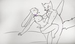 anthro asphyxiation choking collar duo grabbing_neck male male/male narrowed_eyes neck_grab purple_collar sex stand_and_carry_position standing standing_sex jadeoffragons canid canine fox lagomorph leporid mammal rabbit hi_res sketch