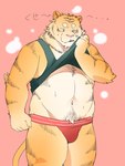 anthro barazoku clothed clothing clothing_lift humanoid_hands jockstrap kemono male navel pink_nose shirt shirt_lift simple_background solo text topwear underwear inunoshippo felid mammal pantherine tiger 2024 3:4 hi_res japanese_text