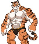 abs anthro areola biped black_briefs black_clothing black_underwear briefs bulge clothed clothing colored_seam_underwear countershade_fur countershade_torso countershading eye_scar facial_scar fangs fur male muscular muscular_anthro muscular_male nipples orange_seam_underwear pecs scar solo striped_body striped_fur stripes tail teeth topless topless_anthro topless_male underwear underwear_only darknaigart epic_games fortnite oscar_(fortnite) felid mammal pantherine tiger absurd_res hi_res