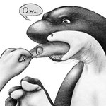 anthro disembodied_hand duo foot_hands foreskin foreskin_play foreskin_pull genitals male penis penis_tongue pinch solo_focus speech_bubble text unusual_anatomy unusual_genitalia_placement unusual_penis_placement zeemf fish marine shark 1:1 hi_res monochrome