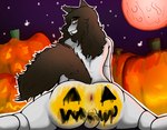 anthro anus balls bodypaint brown_hair butt food fruit fur genitals hair holidays male painted_butt plant pumpkin pumpkin_butt pumpkin_patch solo white_body white_fur fuzu_art halloween uzu_(fuzuart) hi_res