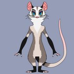 1:1 absurd_res american_opossum anthro blue_background blue_eyes claws dr._nicola_drexel eyewear female front_view full-length_portrait glasses hi_res long_arms long_body mammal marsupial model_sheet neck_tuft portrait pupils semi-anthro short_legs simple_background slit_pupils solo srgriko standing tuft virginia_opossum whiskers