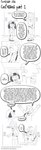 post #5216574