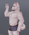 anthro bulge clothing male muscular muscular_anthro muscular_male nipples solo thick_thighs underwear white_body snaftfc canid canine canis mammal wolf absurd_res hi_res